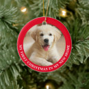Search for rescue ornaments Puppy