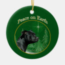 Search for staffy ornaments Staffordshire bull terrier