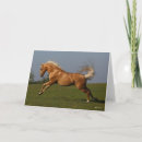 Search for bob cards Palomino