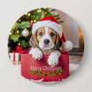Search for beagles buttons Dog