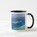 Search for barrier drinkware Aerial