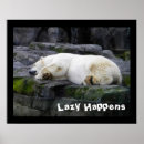Recherche de suis endormi posters Faune
