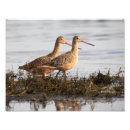 Recherche de marbre brun posters Bleu