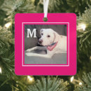 Search for hot pink ornaments Bright