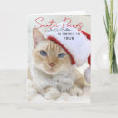 Search for crazy cat christmas cards Cute