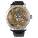 Recherche de merles montres Nature