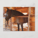 Recherche de percheron cartes postales Cheval de trait