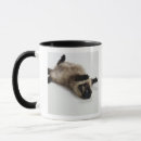Search for himalayan cat mugs Animal
