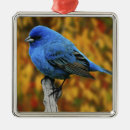 Search for autumn ornaments Blue