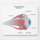 Search for eye doctor electronics Anatomy