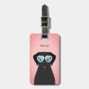 Recherche de labrador retriever noir bagages étiquettes Chiot