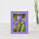 Search for purple iris flower birthday cards Summer