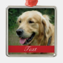 Recherche de animal christmas Pour tous