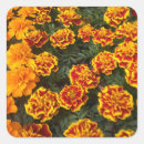 Search for horticulture stickers Flower