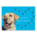 Recherche de chiot bleu vœux cartes Labrador