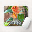 Recherche de nymph tapis souris Papillon