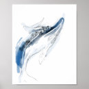 Recherche de baleine bleue posters Océan