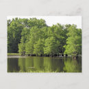 Search for quiet waters postcards Lake
