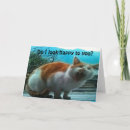 Search for get angry cards Cat