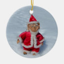 Search for elf ornaments Santa claus