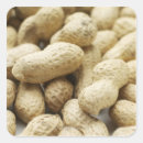 Recherche de nourriture et boisson autocollants Noyer