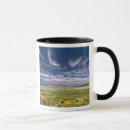 Search for rock springs mugs Usa