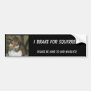 Search for squirrel bumper stickers I brake for squirrels