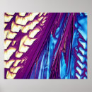 Search for micrography posters Abstract