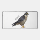Search for falconer electronics Bird of prey