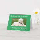 Recherche de poodle birthday cards Canine