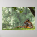 Recherche de smithsonien posters Faune