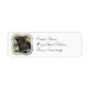 Search for panther return address labels Jaguar