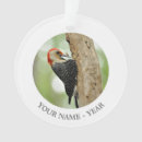 Search for woodpecker ornaments Bird watching