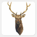 Search for bull elk stickers Hunting