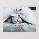 Recherche de jeu de chats cartes postales Drôle