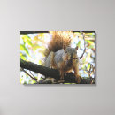 Search for nuts art Squirrel