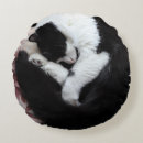 Search for black and white cat pillows Kitty