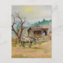 Recherche de appaloosa cartes postales Ouest