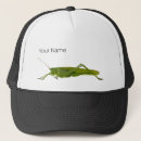 Recherche de nature casquettes Insecte