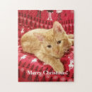 Search for cat puzzles Ginger