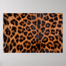 Search for cheetah spots posters Pattern