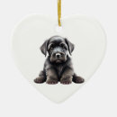 Search for giant schnauzer ornaments Pet