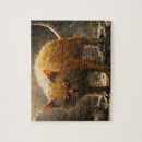 Recherche de monstres puzzles Orange