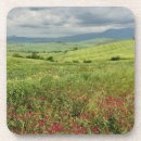Search for agriculture coasters Abundance