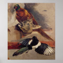Search for bird life posters 19th