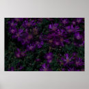Search for african home decor posters Purple