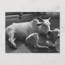 Recherche de agriculture cartes invitations Pleine longueur