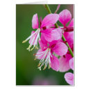 Search for pollen cards Floral
