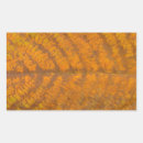 Search for tree background stickers Autumn