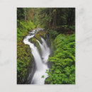 Search for duc postcards Environment
